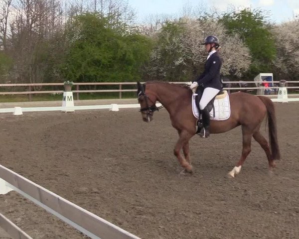 Reitturnier Kleinsolt 2022