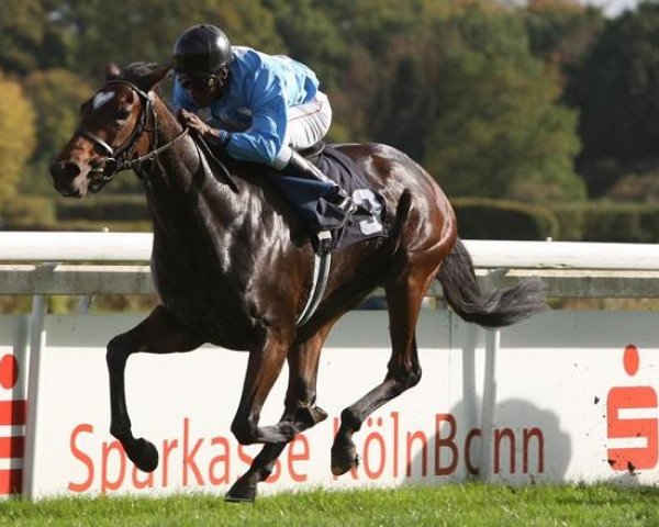 broodmare Near Galante xx (Thoroughbred, 2006, from Galileo xx)