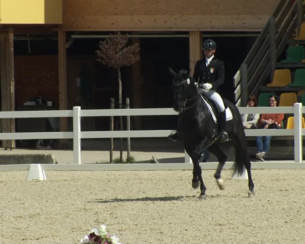 FEI Reitturnier St. Margarethen (AUT) 2022