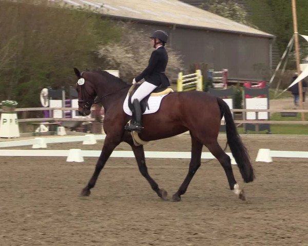 Reitturnier Kleinsolt 2022