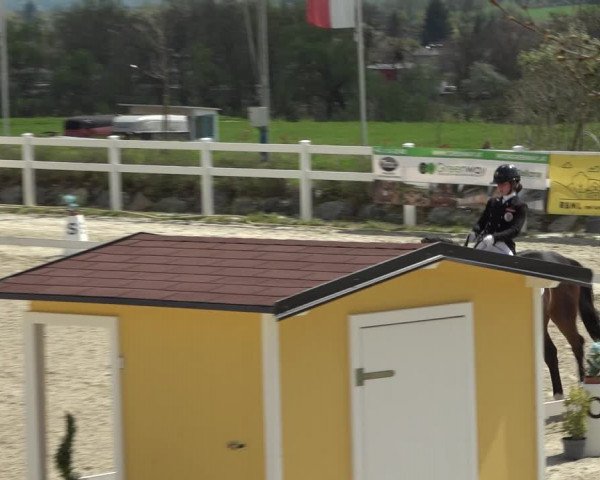 Reitturnier K, St. Margarethen-Stückler 2022