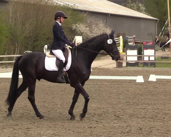 Reitturnier Kleinsolt 2022