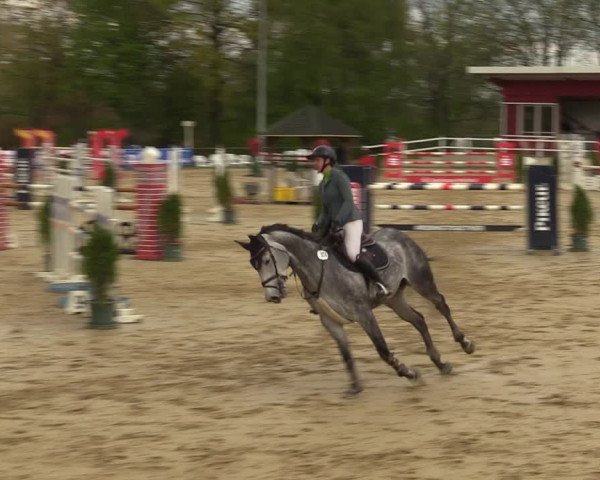 Reitturnier Spenge - Wallenbrück 2022
