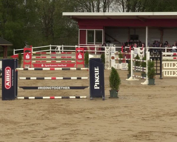 Reitturnier Spenge - Wallenbrück 2022