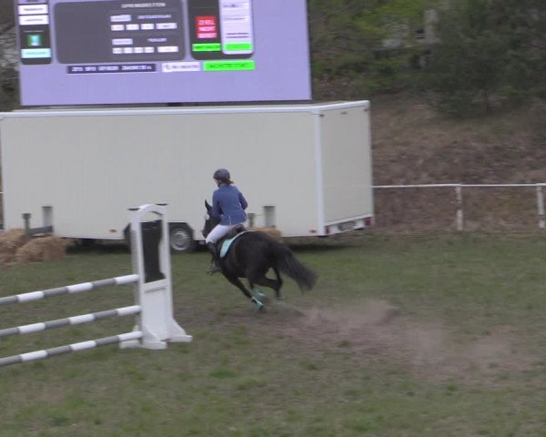 Reitturnier Colbitz 2022