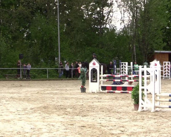 Reitturnier Kamen 2022