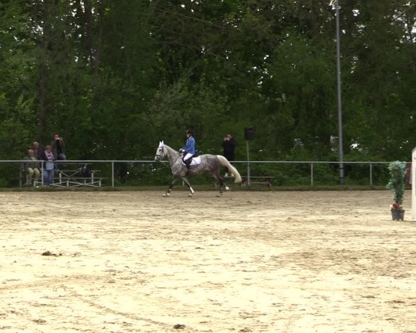Reitturnier Kamen 2022