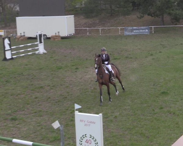 Reitturnier Colbitz 2022