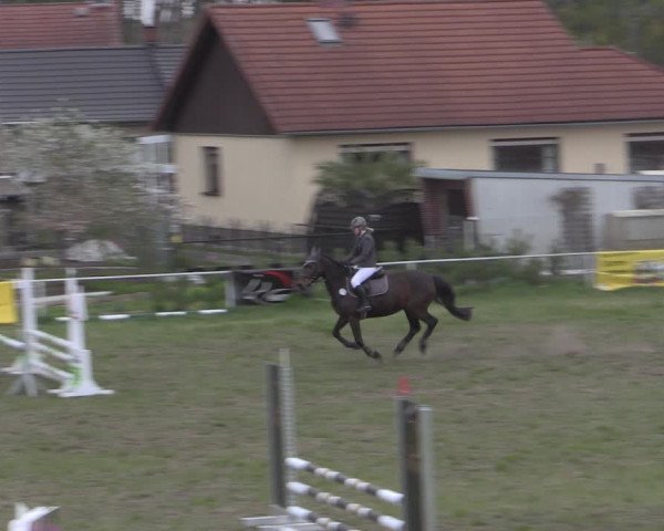 Reitturnier Colbitz 2022