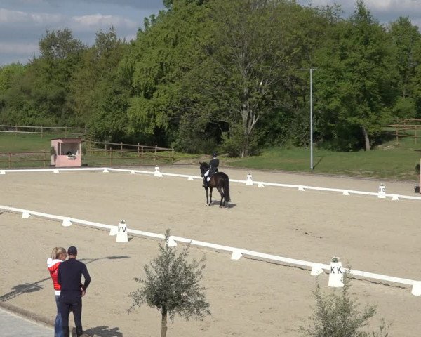 FEI Reitturnier Troisdorf (GER) 2022