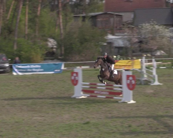 Reitturnier Colbitz 2022