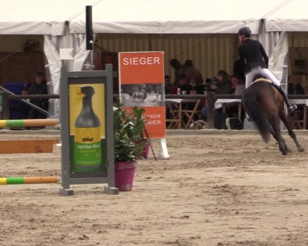 Reitturnier Havixbeck 2022