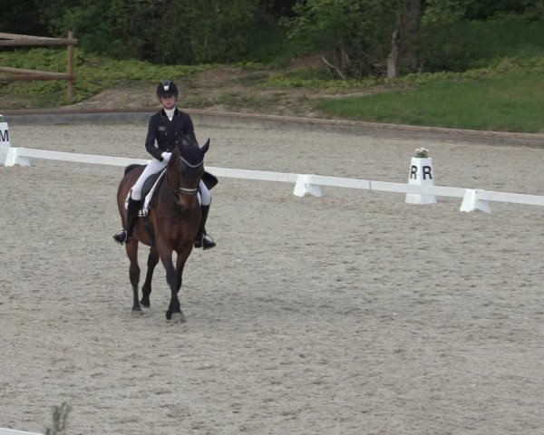FEI Reitturnier Troisdorf (GER) 2022