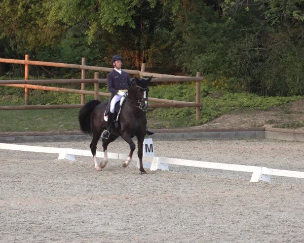 FEI Reitturnier Troisdorf (GER) 2022