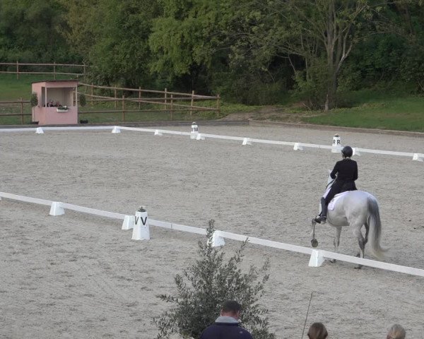 FEI Reitturnier Troisdorf (GER) 2022