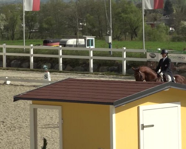 Reitturnier K, St. Margarethen-Stückler 2022