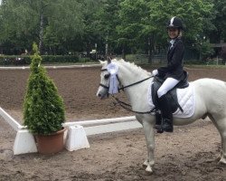 Cheval de dressage Charles (inconnu, 2000)