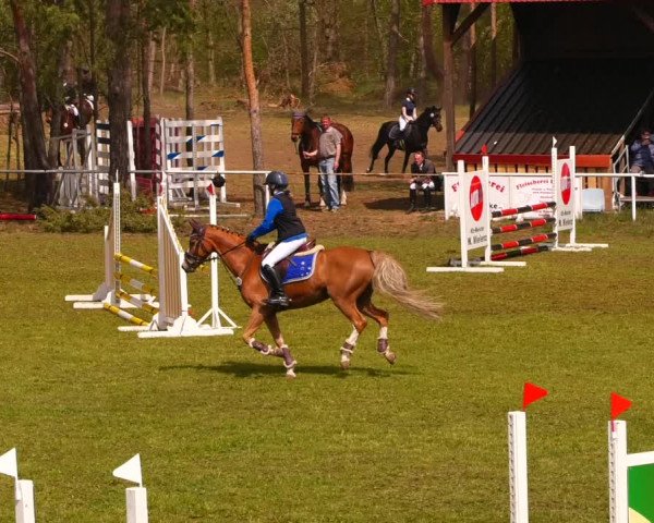 Reitturnier Altbarnim 2022