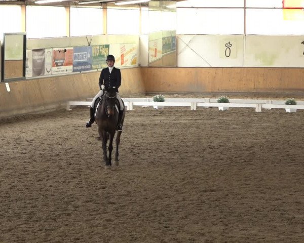 Reitturnier Hildesheim-Steuerwald 2022