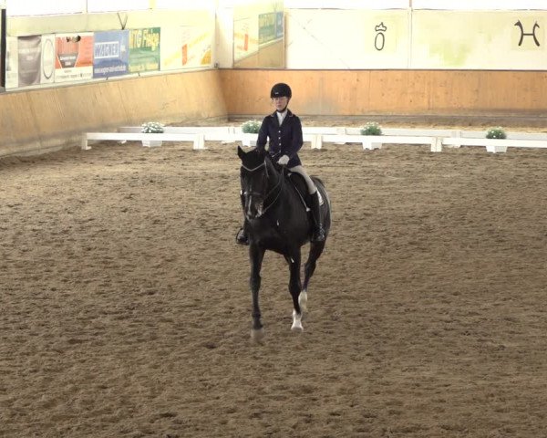 Reitturnier Hildesheim-Steuerwald 2022