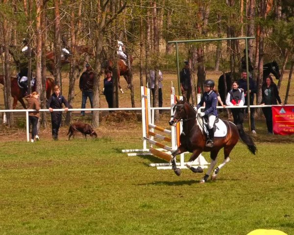 Reitturnier Altbarnim 2022