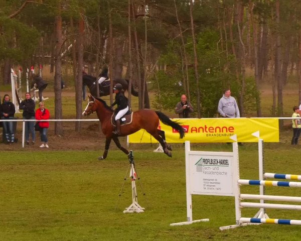 Reitturnier Altbarnim 2022