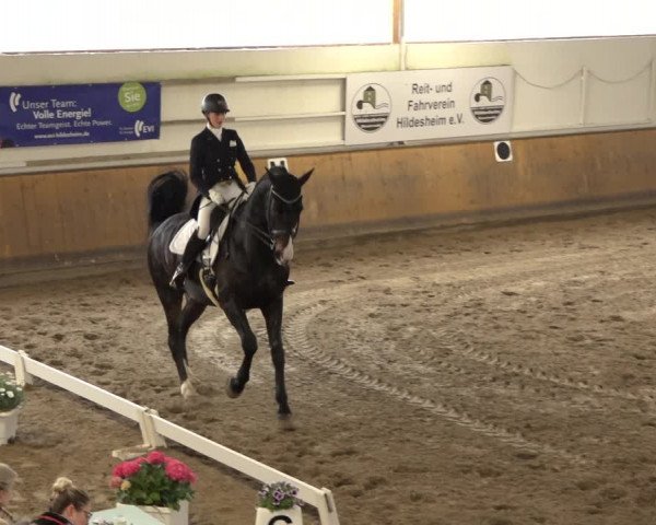 Reitturnier Hildesheim-Steuerwald 2022