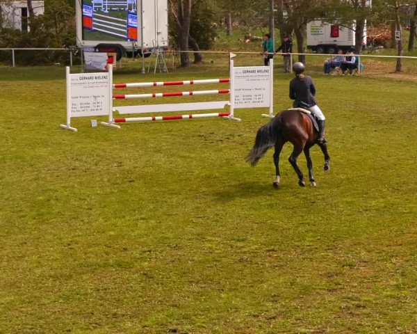 Reitturnier Altbarnim 2022