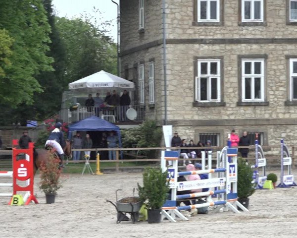 Reitturnier Hildesheim-Steuerwald 2022