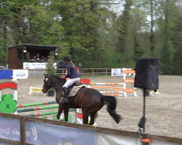 Reitturnier Hildesheim-Steuerwald 2022