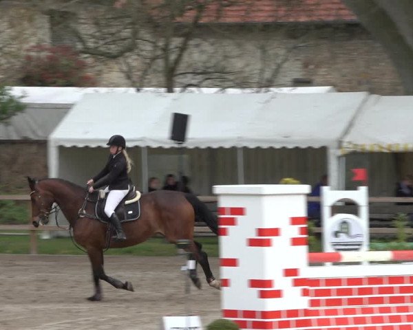 Reitturnier Hildesheim-Steuerwald 2022