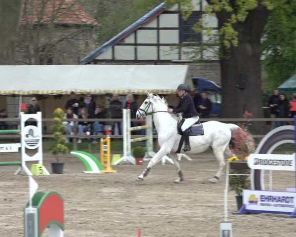 Reitturnier Hildesheim-Steuerwald 2022