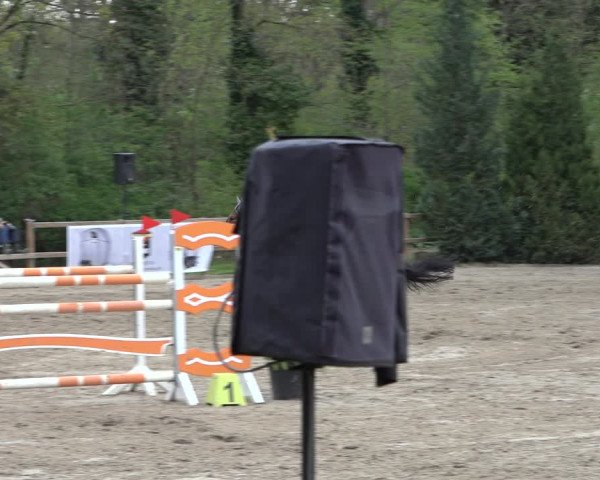 Reitturnier Hildesheim-Steuerwald 2022