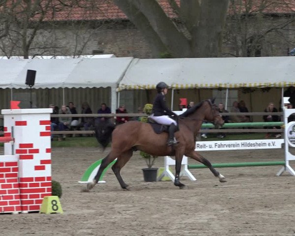 Reitturnier Hildesheim-Steuerwald 2022