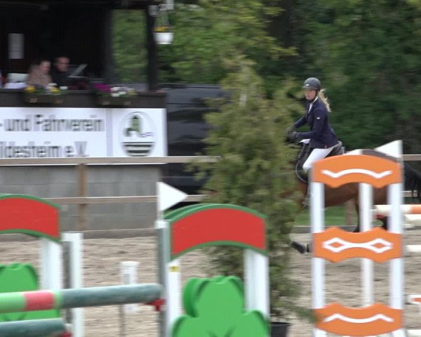 Reitturnier Hildesheim-Steuerwald 2022