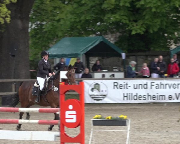 Reitturnier Hildesheim-Steuerwald 2022