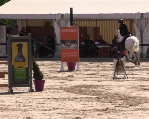 Reitturnier Havixbeck 2022
