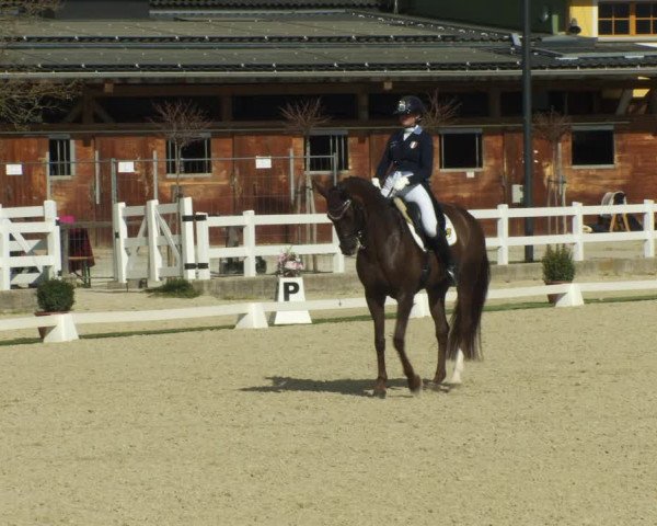 FEI Reitturnier St. Margarethen (AUT) 2022