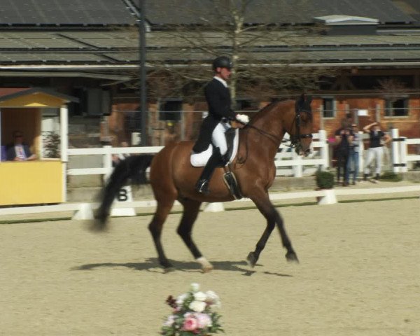 FEI Reitturnier St. Margarethen (AUT) 2022