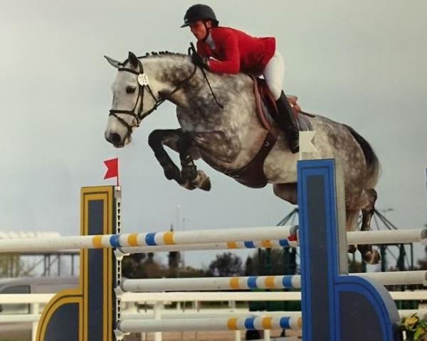 broodmare Hera van't Roosakker (Belgian Warmblood, 2007, from Wandor van de Mispelaere D'10)