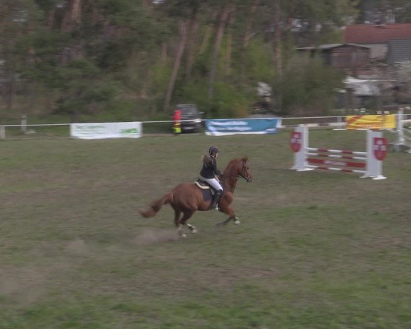 Reitturnier Colbitz 2022