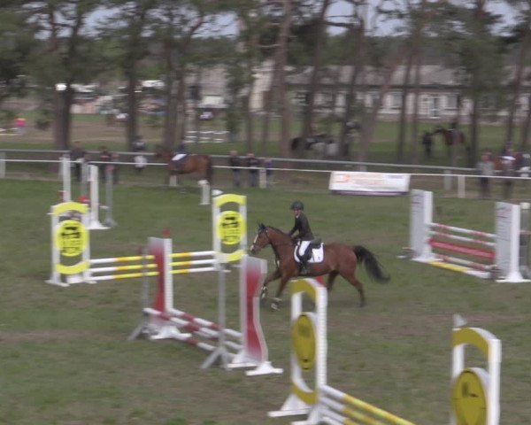 Reitturnier Colbitz 2022