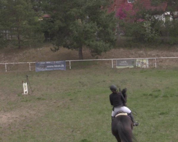 Reitturnier Colbitz 2022