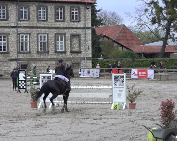 Reitturnier Hildesheim-Steuerwald 2022