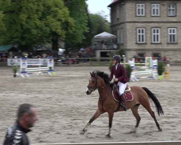 Reitturnier Hildesheim-Steuerwald 2022