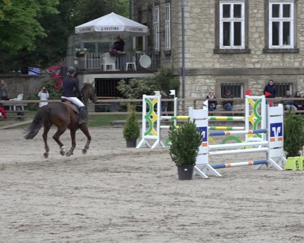 Reitturnier Hildesheim-Steuerwald 2022