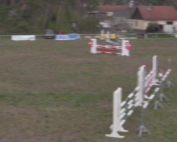 Reitturnier Colbitz 2022