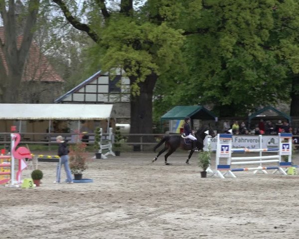 Reitturnier Hildesheim-Steuerwald 2022