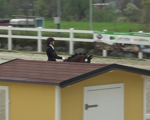 Reitturnier K, St. Margarethen-Stückler 2022