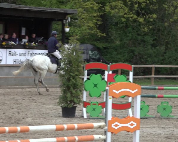 Reitturnier Hildesheim-Steuerwald 2022